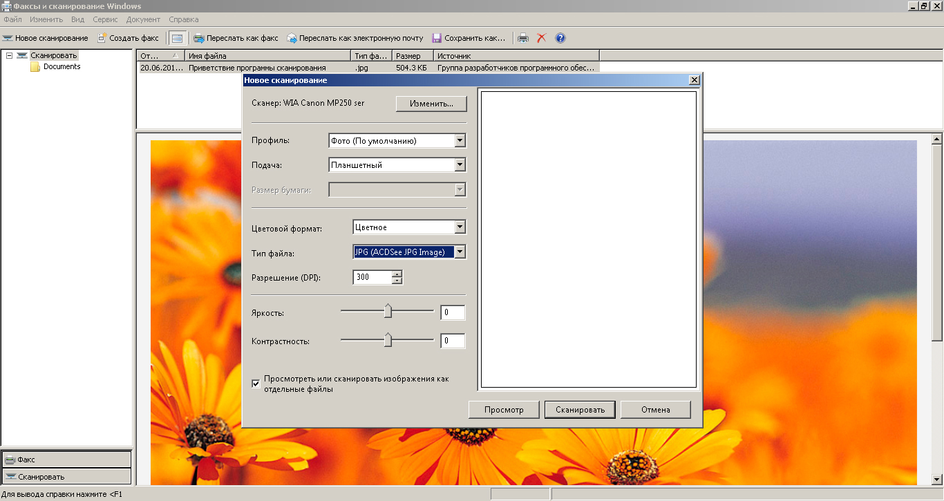 Факсы и сканирование. Факсы и сканирование одним файлом. Сканирование рисунка в приложении. Сканер на несколько листов. Стандартная программа виндовс для сканирование документов.